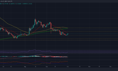 Dogecoin은 이 가격 수준이 무너질 때까지 제대로 돌아가지 않습니다.