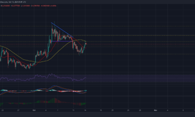 Dogecoin의 단기 가격 조치에서 기대할 수 있는 것