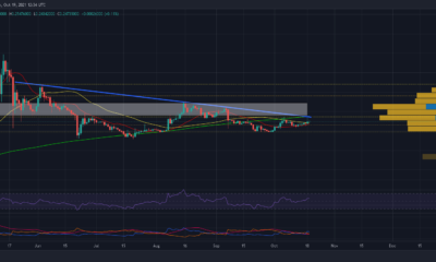 Dogecoin은 잠재력을 최대한 발휘하기 위해 이를 수행해야 합니다.