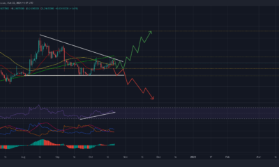 Dogecoin의 랠리는 이 약세 설정을 무효화할 때까지 기다릴 것입니다.