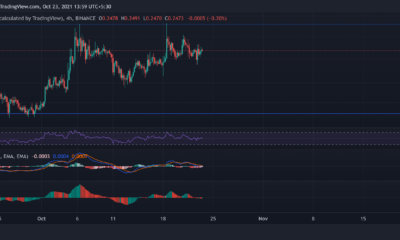 Dogecoin, Bitcoin Cash, Ethereum Classic 가격 분석: 10월 23일