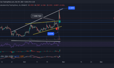 Dogecoin, Polkadot, MATIC 가격 분석: 10월 29일