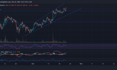Polkadot, Ethereum Classic, Monero 가격 분석: 10월 22일