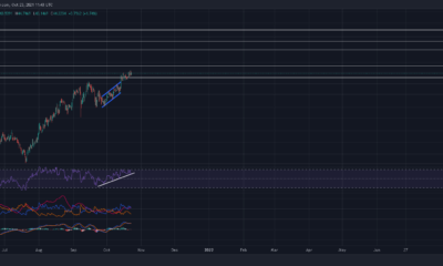 Parachain 경매가 시작되기 전에 Polkadot의 가격 조치에서 기대할 수 있는 것