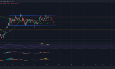 EOS: 거래자는 다음을 통해 이러한 시나리오를 활용할 수 있습니다.