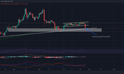 Ethereum Classic은 이 영역에서 '하락 매수' 기회를 제공합니다.