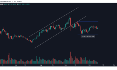 Chainlink가 $30에 도달할 가능성을 배제할 수 없는 이유는 다음과 같습니다.
