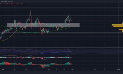 이 지원 영역은 Chainlink의 낙관적인 전망을 유지할 수 있습니다.