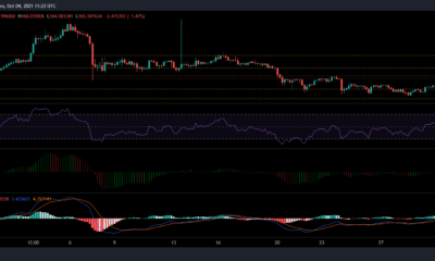 Litecoin, Enjin 및 Axie 가격 분석: 10월 4일