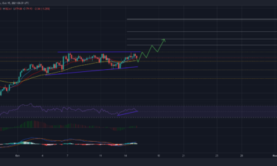 Litecoin: 거래자가 이 '이상적인' 구매 항목을 활용하는 방법