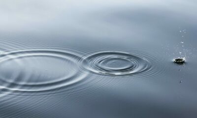 Ripple의 2021년 3분기 보고서는 XRP에 대한 '전례 없는' 개발에 대해 설명합니다.