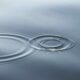 Ripple의 2021년 3분기 보고서는 XRP에 대한 '전례 없는' 개발에 대해 설명합니다.