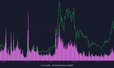 XRP의 온체인 활동에서 이러한 역사적 차이는 희망의 원인이 될 수 있습니다.