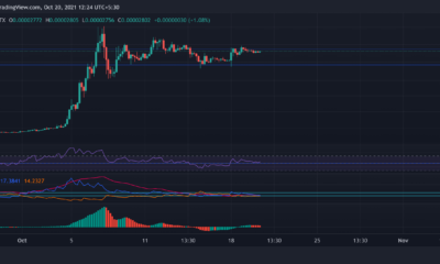 Shiba Inu, Tron, Uniswap 가격 분석: 10월 20일