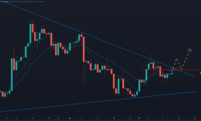 Dogecoin은 '위의 영역을 제거하면 '수개월 랠리'를 준비합니다.
