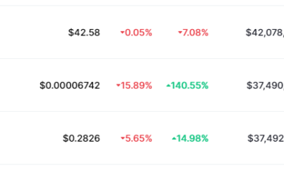Dogecoin 이후 Shiba Inu도 Polkadot을 뛰어 넘을 것입니까?