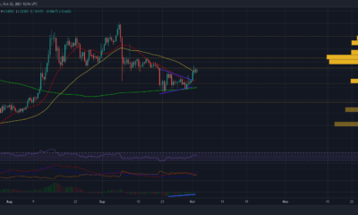 이러한 요소는 XRP의 경로를 $1.30로 엽니다.
