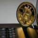 거래자들은 Bitcoin 대 altcoins 논쟁을 어떻게 다르게 생각합니까?