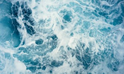 XRP 소송: 법원은 '권한 로그'를 봉인하라는 Ripple의 동의를 승인했습니다.