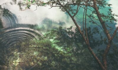 SEC v. Ripple: 50,000명 이상의 XRP 보유자와 '친구'가 원하는…