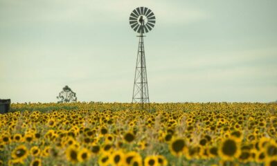 호주: ASIC, 투자자 보호를 위해 ETF에 대한 새로운 지침 발표