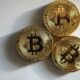 Pepsico CFO는 Bitcoin 주변의 변동성과 추측에 대해 어떻게 생각합니까?