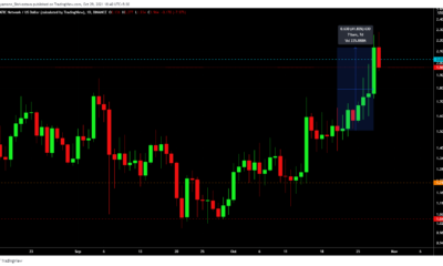 Bitcoin Cash, Litecoin, Algorand, MATIC을 넘어서는 경주는 앞서 나가기 위해 필요합니다.