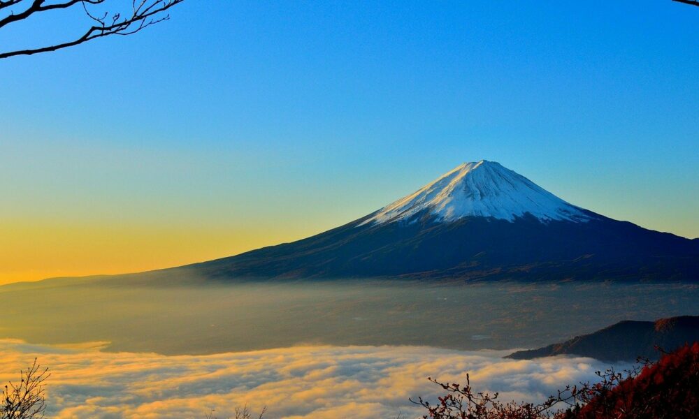 Mt. Gox 채권자, 회생 계획 승인 후 수십억 비트코인 ​​수령