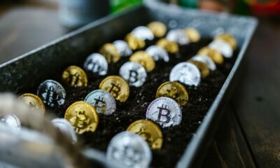 Bitcoin은 '최고의 자산'이며 여기에 MicroStrategy의 계획이 있습니다.