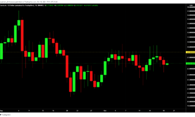 Chainlink가 $ 28 아래에 갇혀있을 수 있습니까?