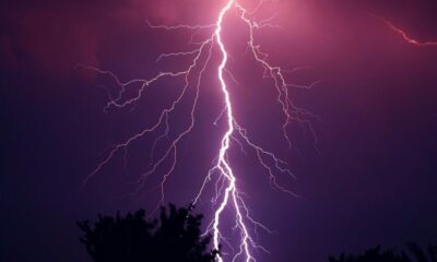 Bitcoin Lightning Network: '사과 대 오렌지' 비교가 효과가 없는 이유