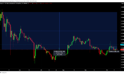 Dogecoin의 휴면 상태가 곧 투자자에게 문제가 될 것입니까?