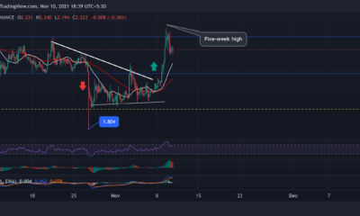 Cardano, Shiba Inu, EOS 가격 분석: 11월 10일