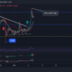 Cardano, Shiba Inu, EOS 가격 분석: 11월 10일