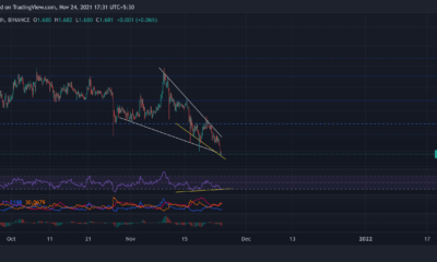 Cardano, Polkadot, Ethereum Classic 가격 분석: 11월 24일