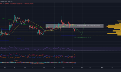 Dogecoin은 다음 랠리 전에 16% 하락을 수용할 수 있습니다.