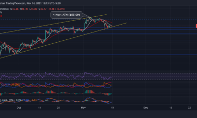 Polkadot, Ethereum Classic, Loopring 가격 분석: 11월 14일