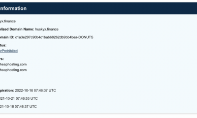 67,000% 급등한 코인 HUSKYX를 사기 전에 이것을 알아야 합니다.