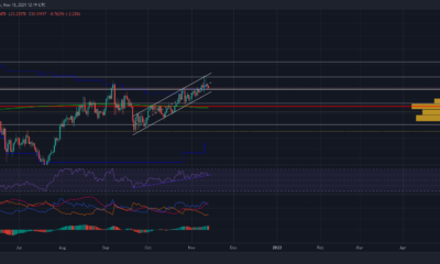 Chainlink의 상승세가 심각한 위협을 받고 있는 이유
