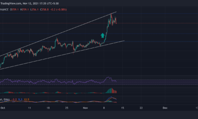Litecoin, Tron, MATIC 가격 분석: 11월 12일
