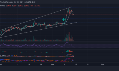 Litecoin, Shiba Inu, EOS 가격 분석: 11월 13일