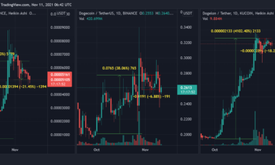 Do Shiba Inu, Dogecoin, Dogelon Mars에는 '물린 것'이 남아 있습니다.