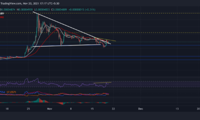 Shiba Inu, Litecoin, Loopring 가격 분석: 11월 20일