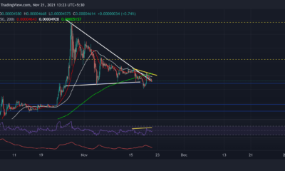 Shina Inu, Chainlink, VeChain 가격 분석: 11월 21일