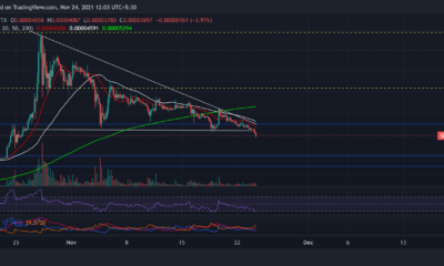 Shiba Inu, Chainlink, EOS 가격 분석: 11월 24일
