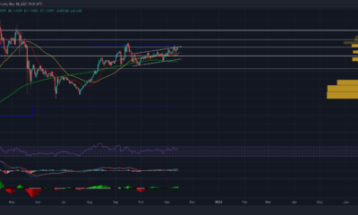 Tron의 가격 조치에 대한 위협에 대해 알아야 할 사항