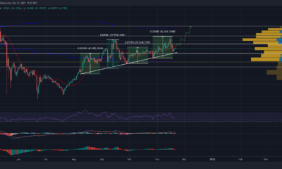 Tron이 일주일 동안 강세를 보일 준비가 된 이유