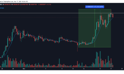 StarLink – Musk가 '주도한' 최신 시장 펌프의 A to Z