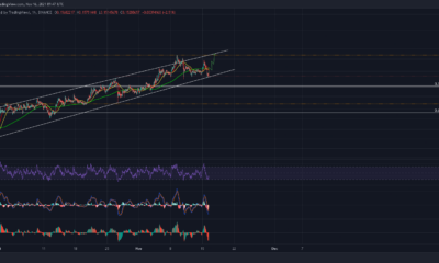 VeChain은 시간당 RSI가 과매도 영역에 닿은 후 조기 반전을 설정합니다.