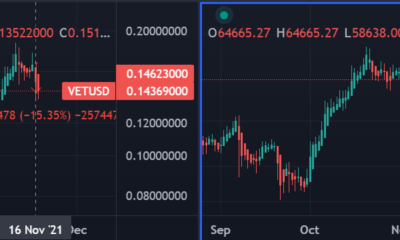 VeChain은 시장 기대치를 뒤집지만 무엇을 의미합니까?